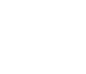 Dubai Bulls